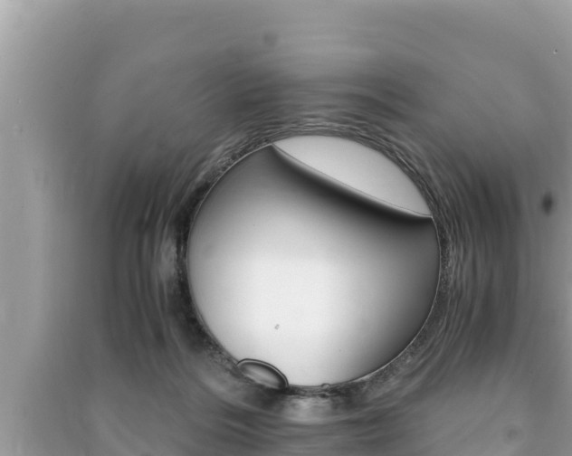 X0000091220220200708091144