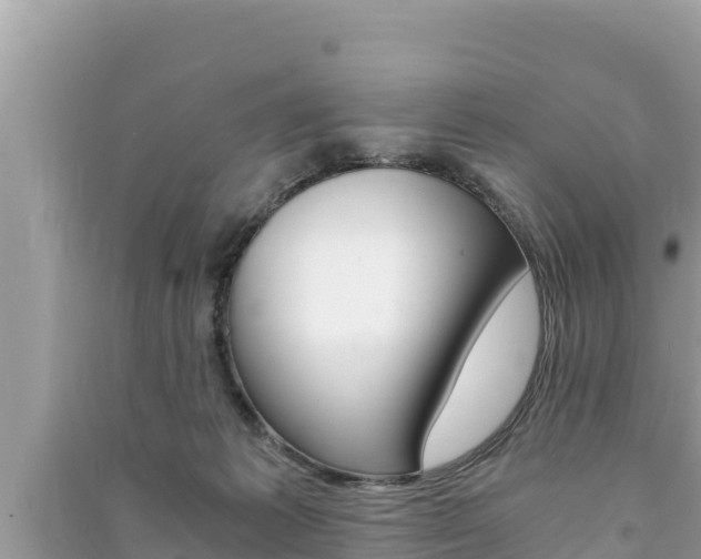 X0000091220221200708091144