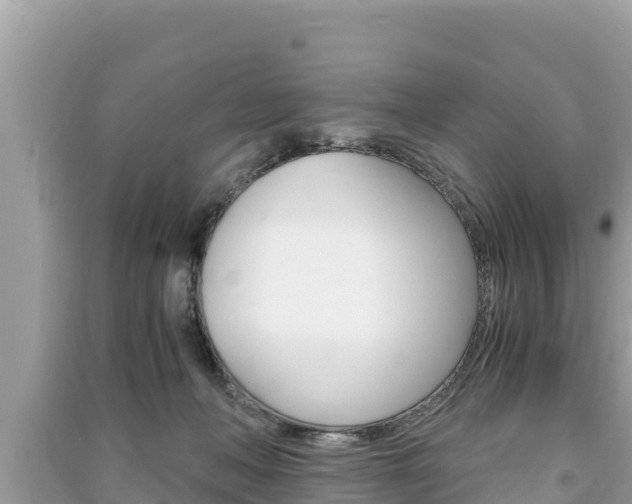 X0000091220222200708091144