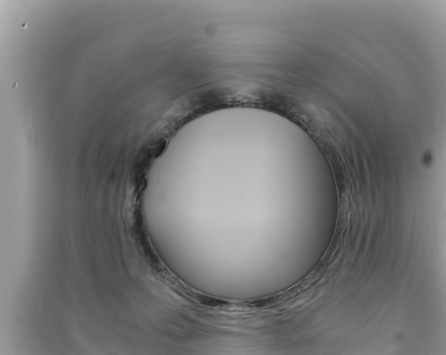 X0000091220223200708091144
