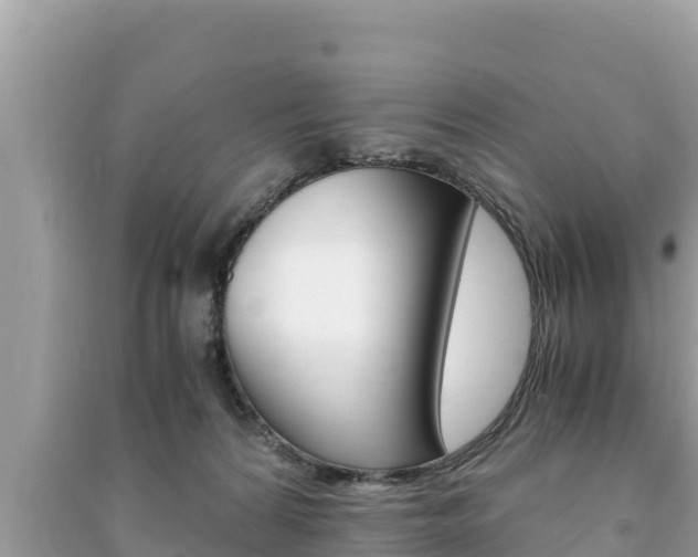X0000091220224200708091144