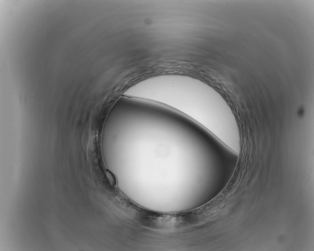 X0000091220225200708091144