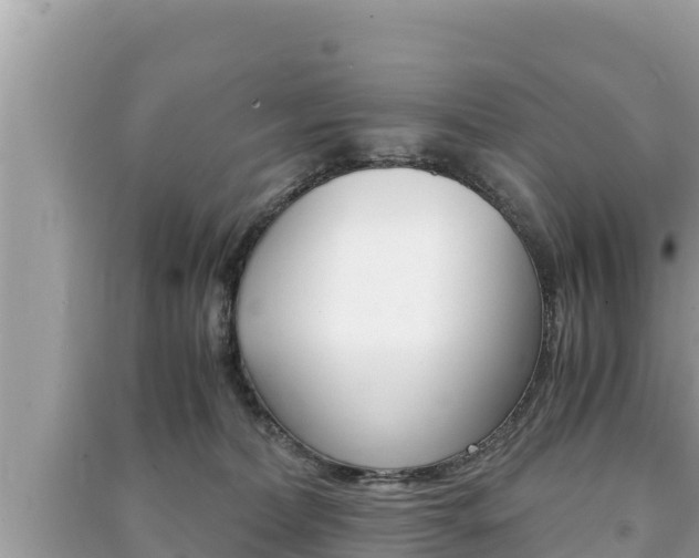 X0000091220228200708091144