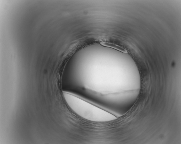 X0000091220229200708091144