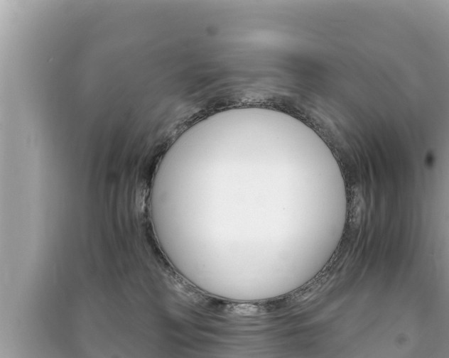 X0000091220230200708091144
