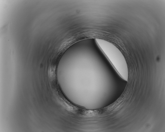X0000091220239200708091144