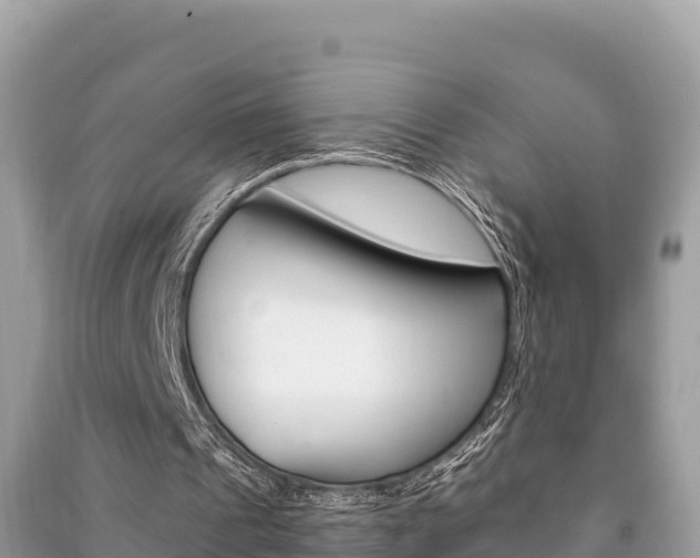 X0000091220241200708091143