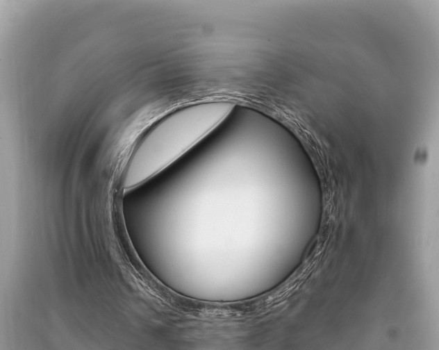 X0000091220242200708091143