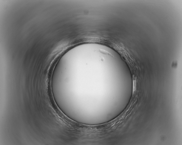 X0000091220243200708091143