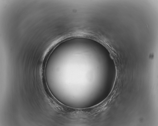 X0000091220244200708091143