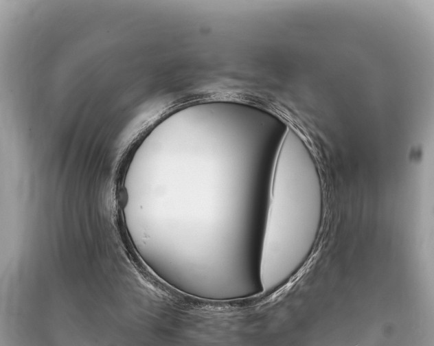 X0000091220245200708091143