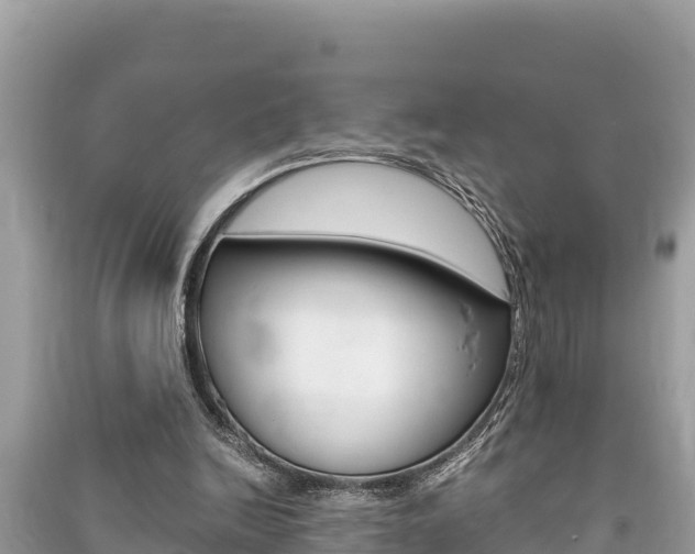 X0000091220246200708091143