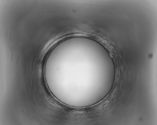 X0000091220247200708091143