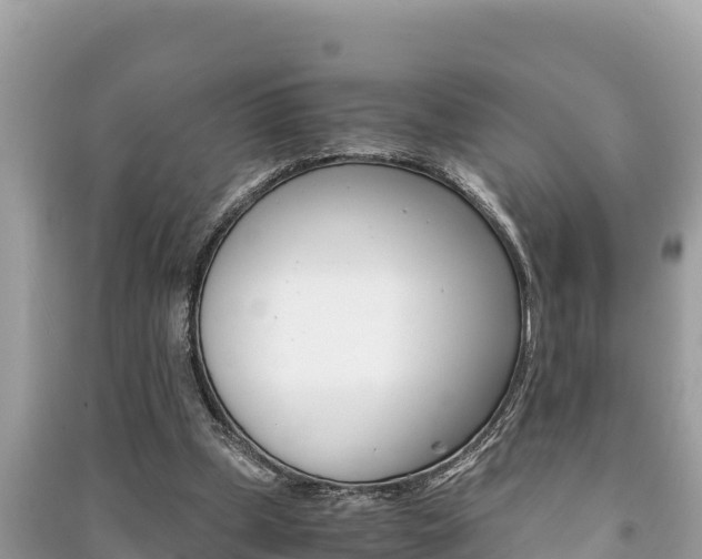 X0000091220249200708091143