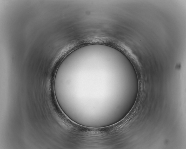 X0000091220250200708091143