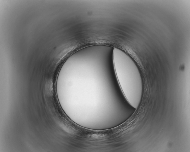 X0000091220251200708091143