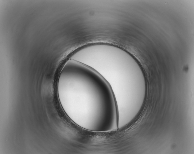 X0000091220252200708091143