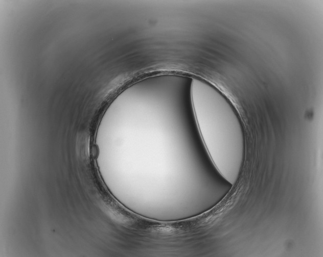X0000091220253200708091143