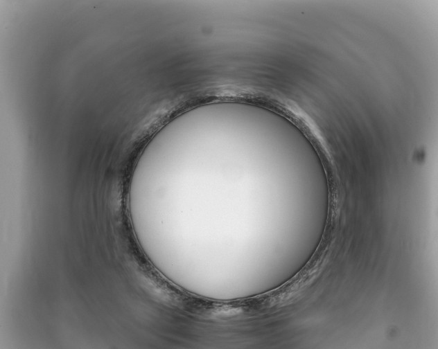 X0000091220257200708091143