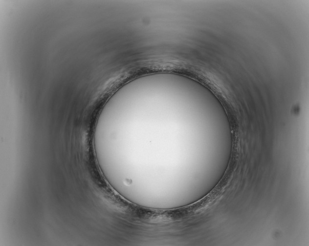 X0000091220258200708091143