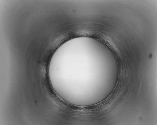 X0000091220259200708091143