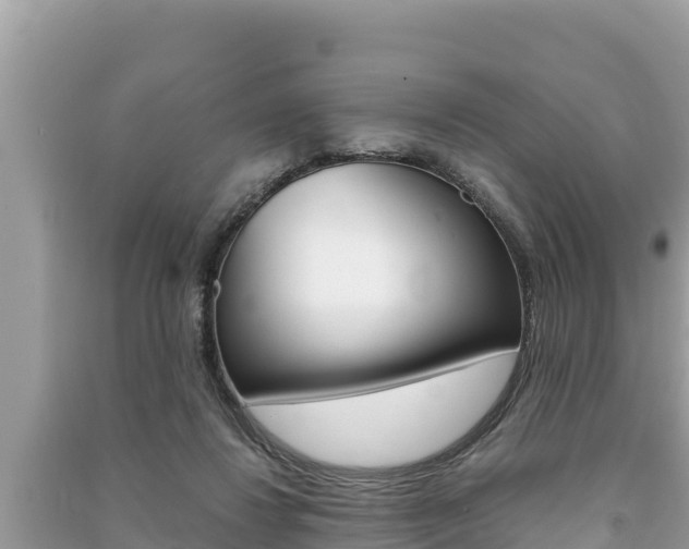 X0000091220260200708091143