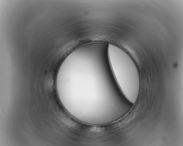 X0000091220261200708091143