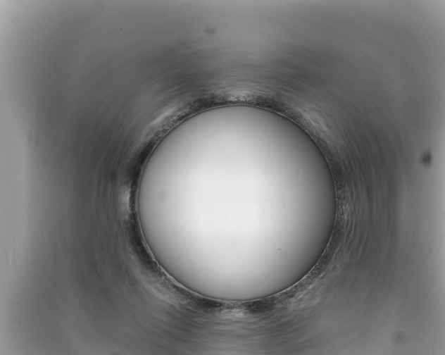 X0000091220262200708091143