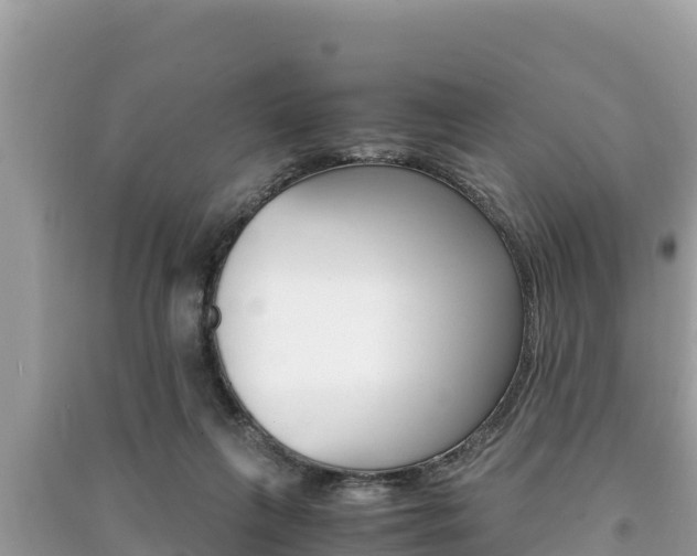X0000091220263200708091143