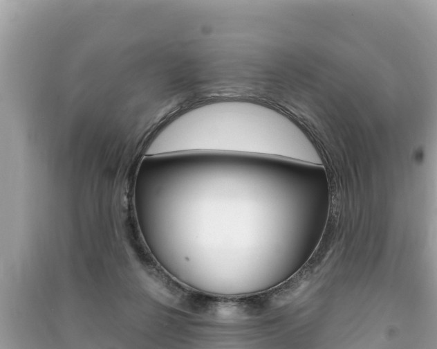 X0000091220264200708091143