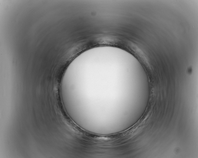 X0000091220265200708091143