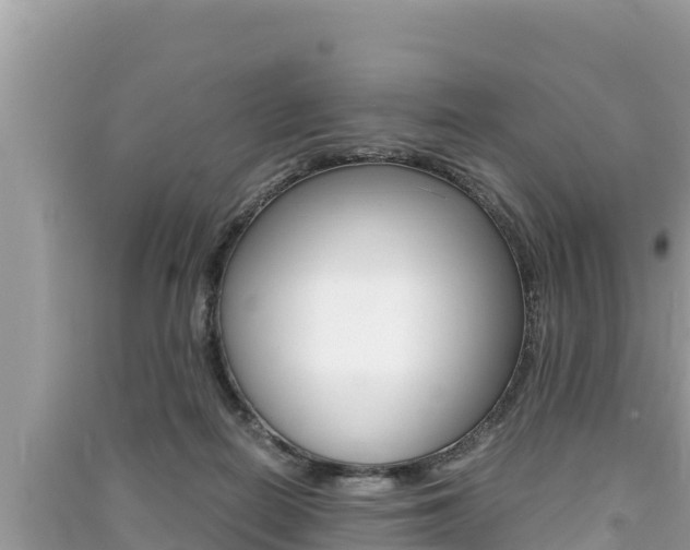 X0000091220266200708091143