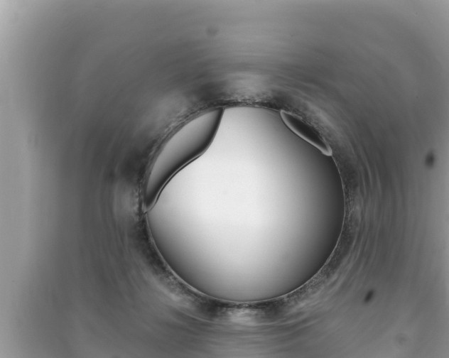 X0000091220268200708091143