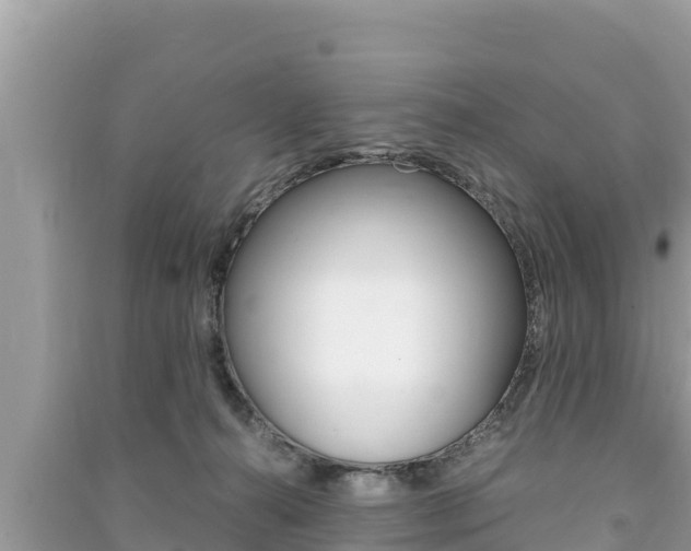 X0000091220272200708091143