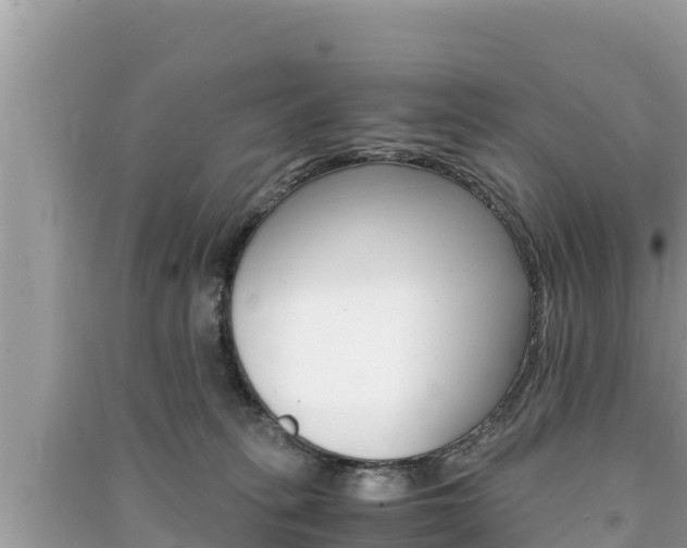 X0000091220275200708091143