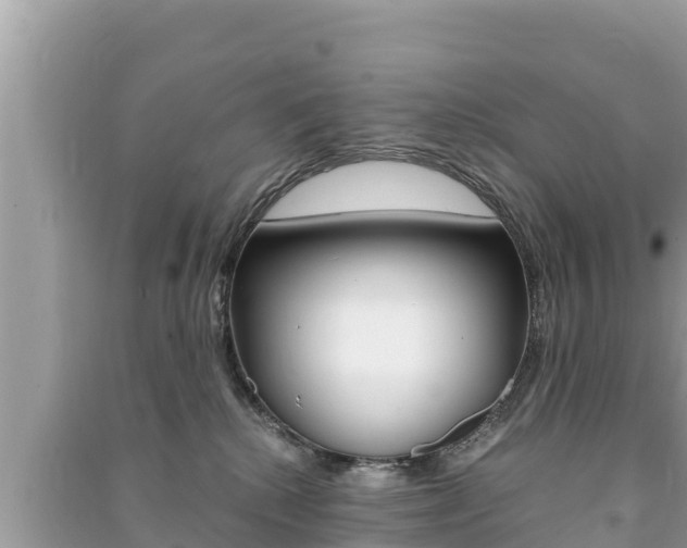 X0000091220280200708091144