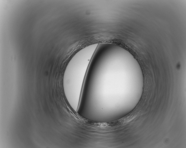 X0000091220288200708091144
