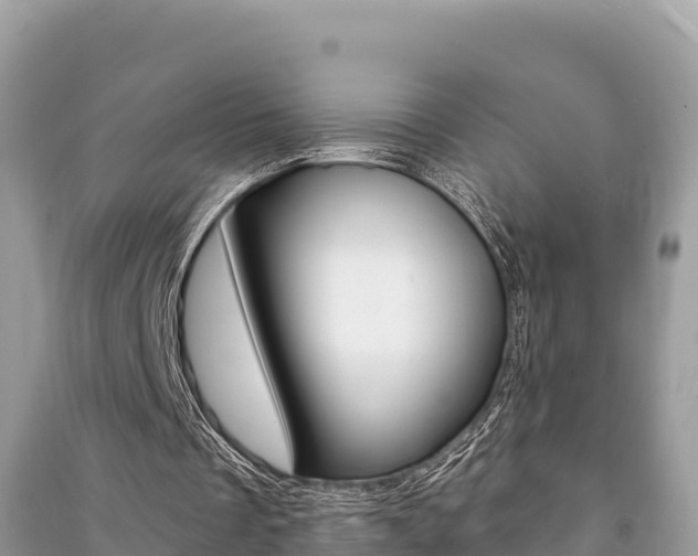 X0000091220289200708091143