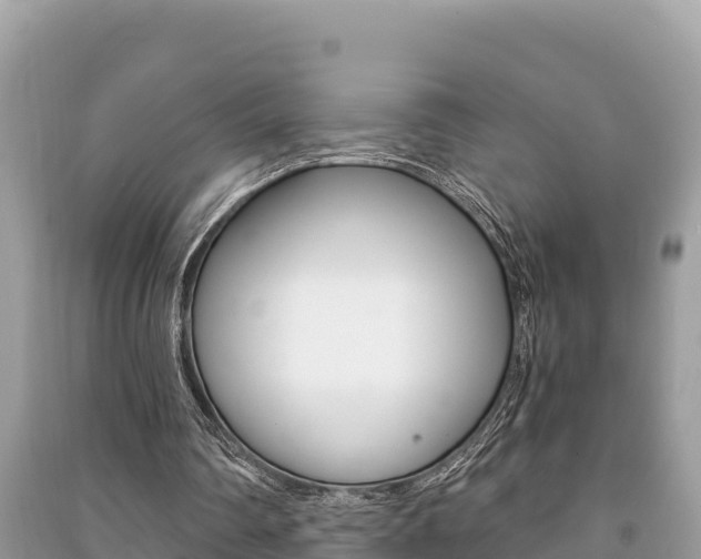 X0000091220290200708091143