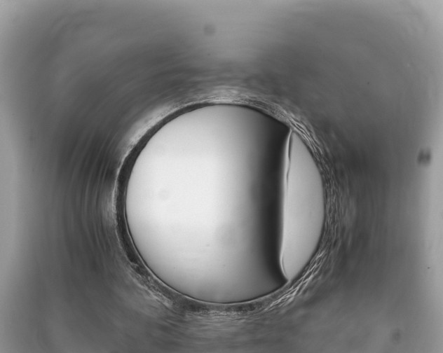X0000091220292200708091143