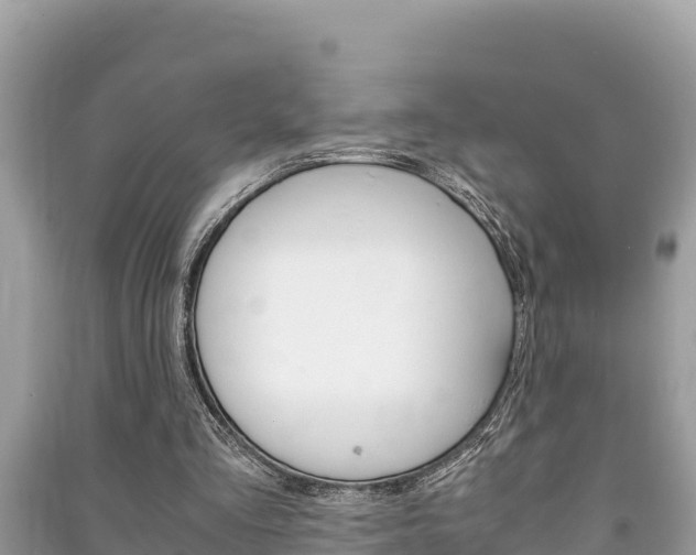X0000091220293200708091143
