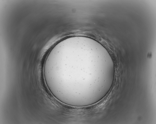 X0000091220295200708091143