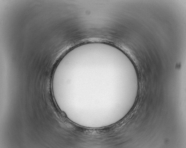 X0000091220297200708091143