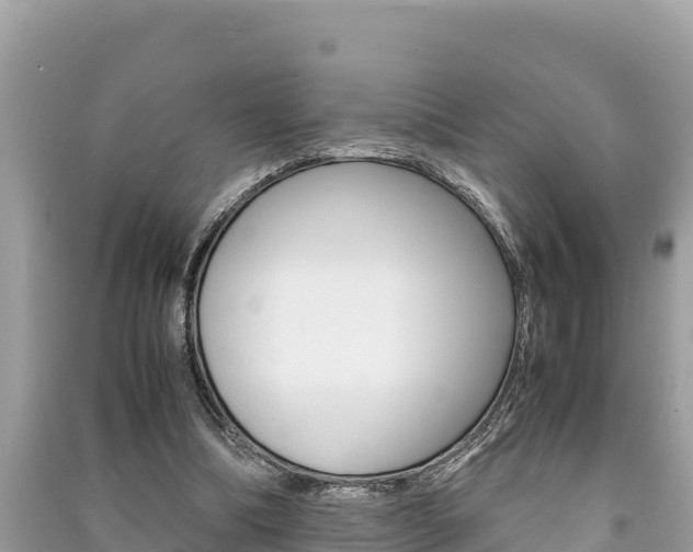 X0000091220298200708091143