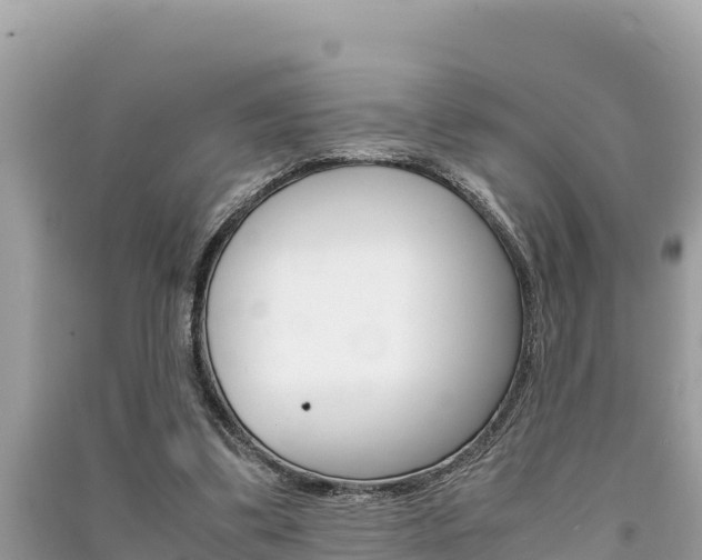 X0000091220299200708091143