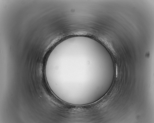 X0000091220300200708091143