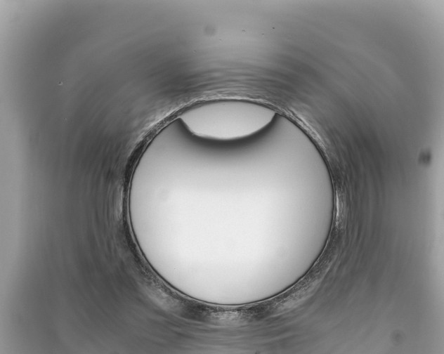 X0000091220301200708091143
