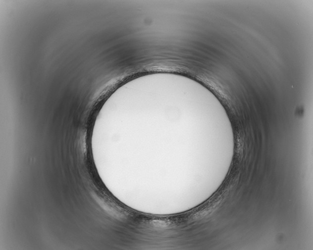 X0000091220302200708091143