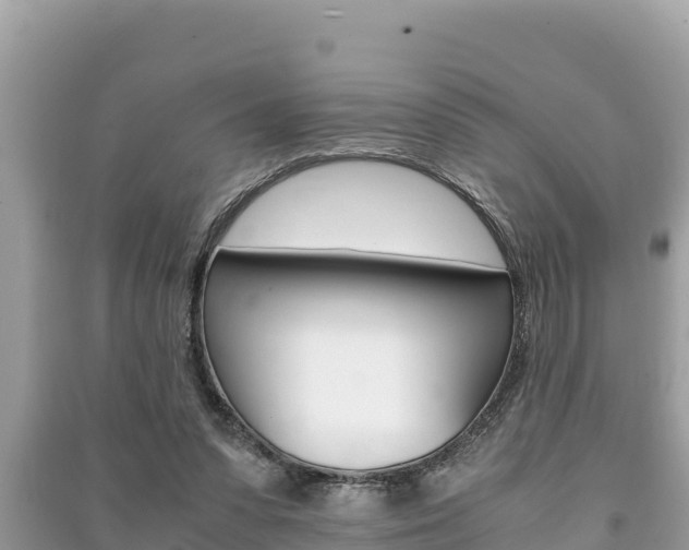 X0000091220303200708091143