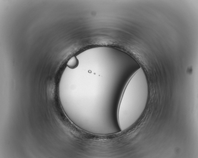X0000091220304200708091143